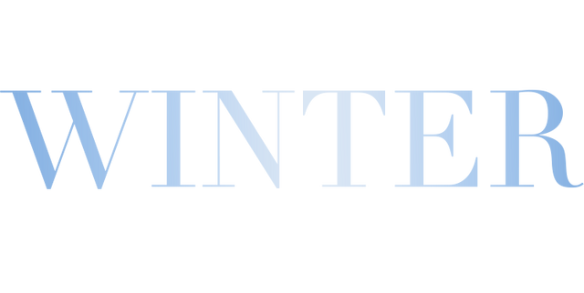 The Winter Style Event